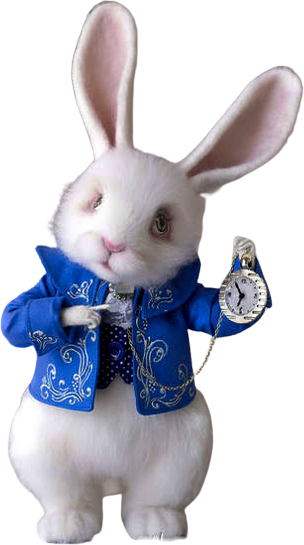 326099164 1563965494028431 8232701691047160145 n